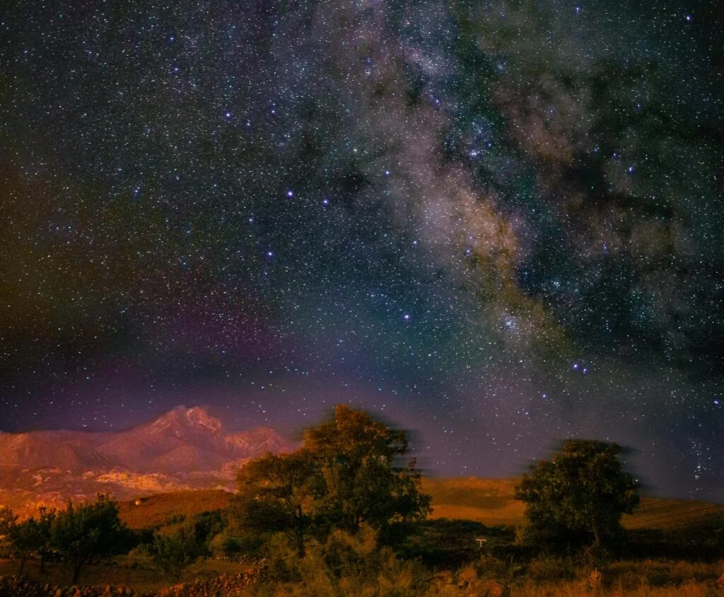 2025 Market Outlook: The Impact of Global Policy Divergence on Investments